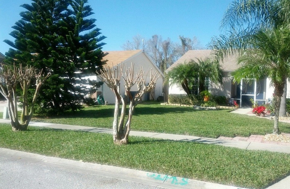 Mayday's Work by Mayday's Lawn Termite Pest - Photo 11