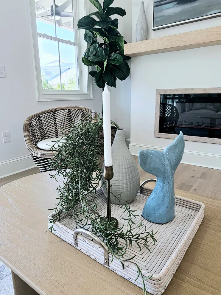 Marsh Cove Bohemian Coastal Stage by Porchlight Interiors LLC - Photo 5