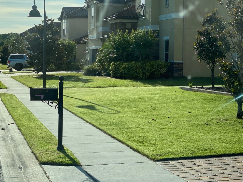 Mayday's Lawn Termite Pest - Photo 12