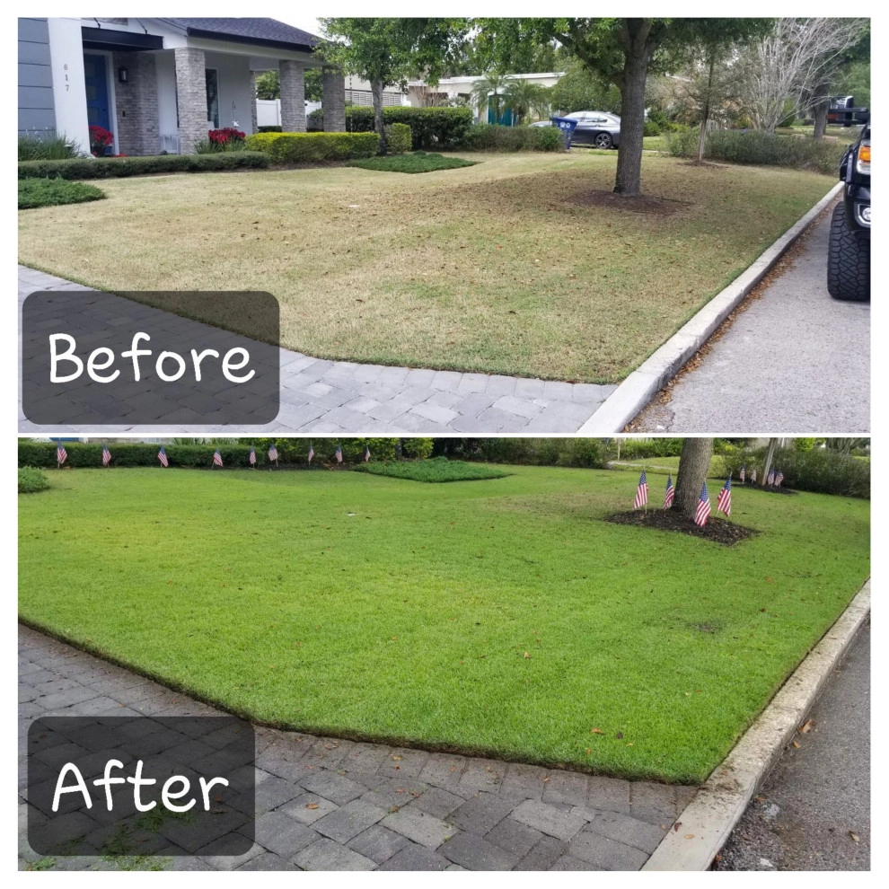 Mayday's Work by Mayday's Lawn Termite Pest - Photo 21