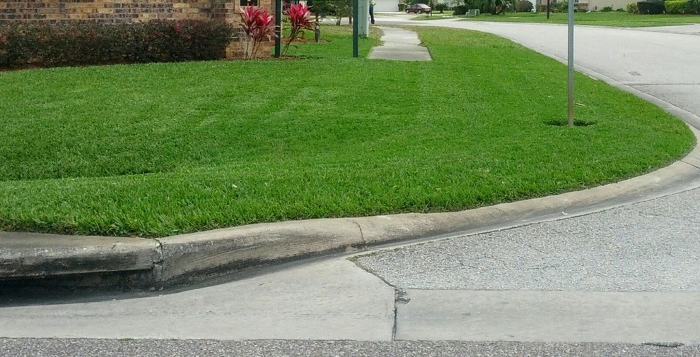 Mayday's Work by Mayday's Lawn Termite Pest - Photo 10