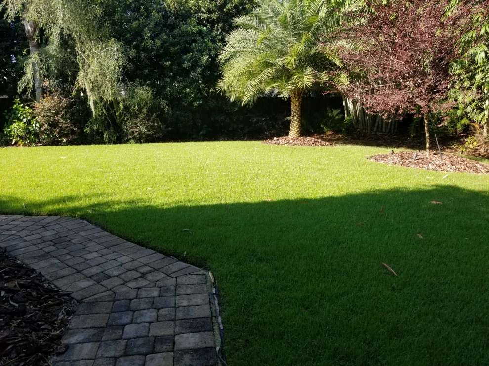 Mayday's Lawn Termite Pest - Photo 11