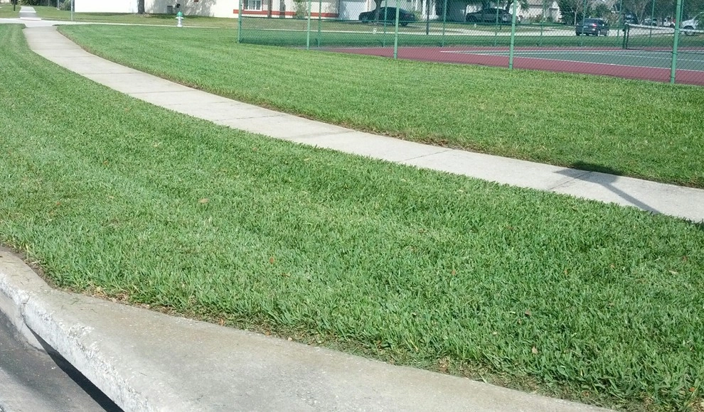 Mayday's Work by Mayday's Lawn Termite Pest - Photo 12