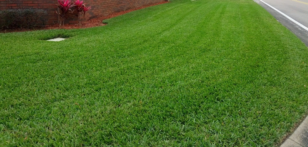 Mayday's Work by Mayday's Lawn Termite Pest - Photo 17