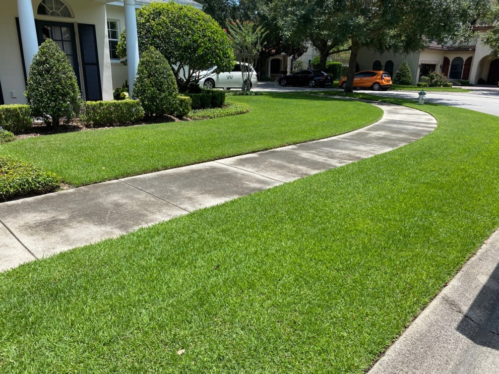 Mayday's Work by Mayday's Lawn Termite Pest - Photo 13