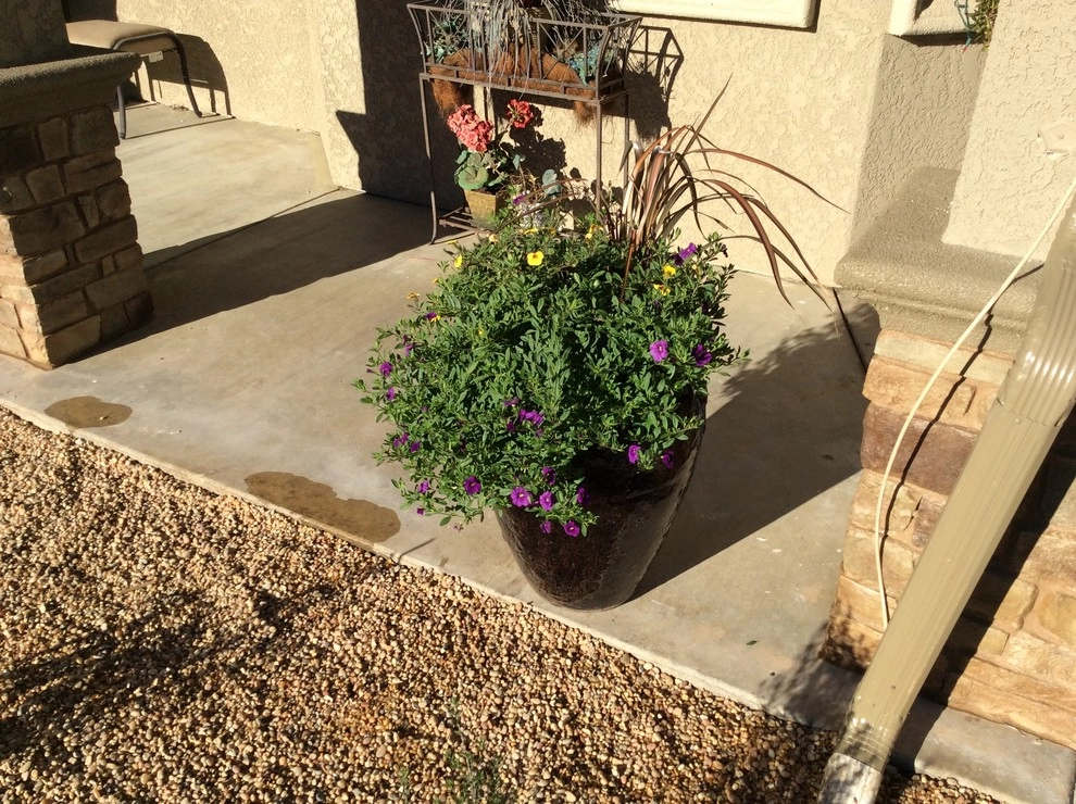 The Hartmann Residence by McCabe's Nursery & Landscape Construction - Photo 26