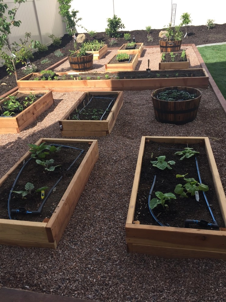 The Gibson Family by McCabe's Nursery & Landscape Construction - Photo 31