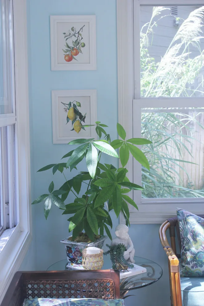Vibrant Riverside Sunroom by Megan McGraw Interior Design - Photo 7