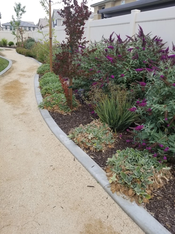 The Burns Residence by McCabe's Nursery & Landscape Construction - Photo 6