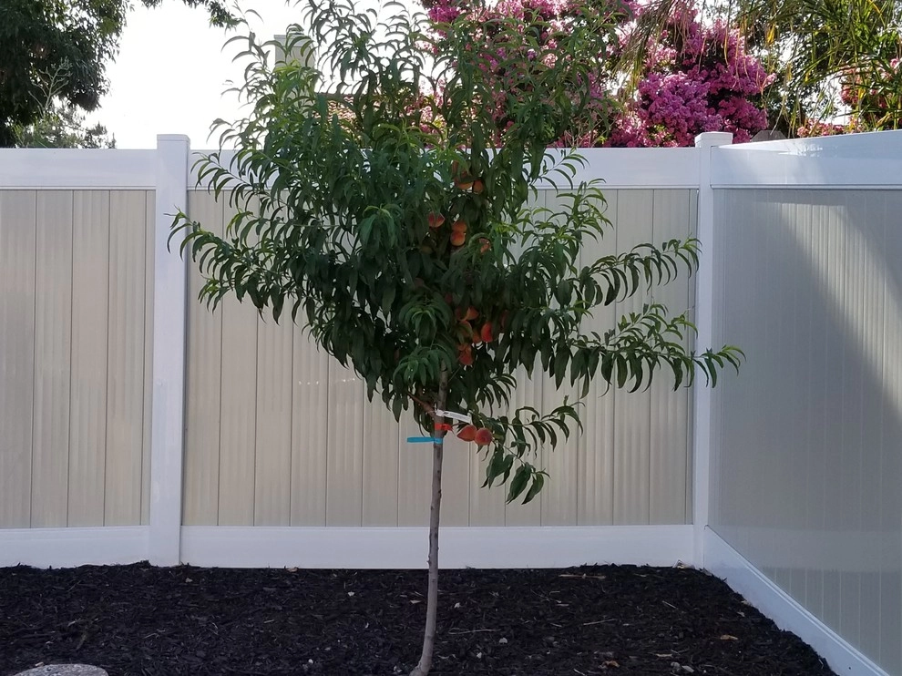 The Hepp Residence by McCabe's Nursery & Landscape Construction - Photo 2