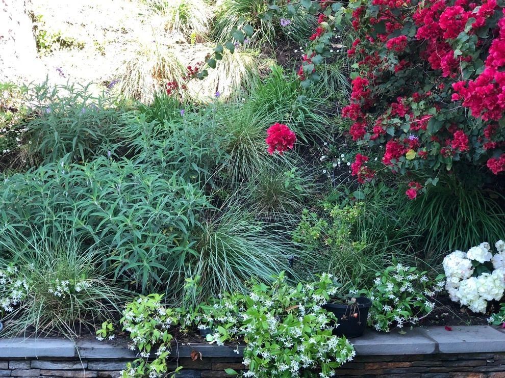 Beautiful Residence - Beverly Hills by Camille Beehler Landscape Design - Photo 19