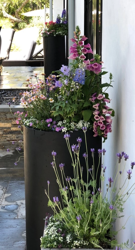 Beautiful Residence - Beverly Hills by Camille Beehler Landscape Design - Photo 15