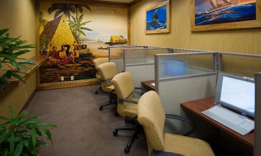 Business Initiative by Interior Design Solutions Maui - Photo 4