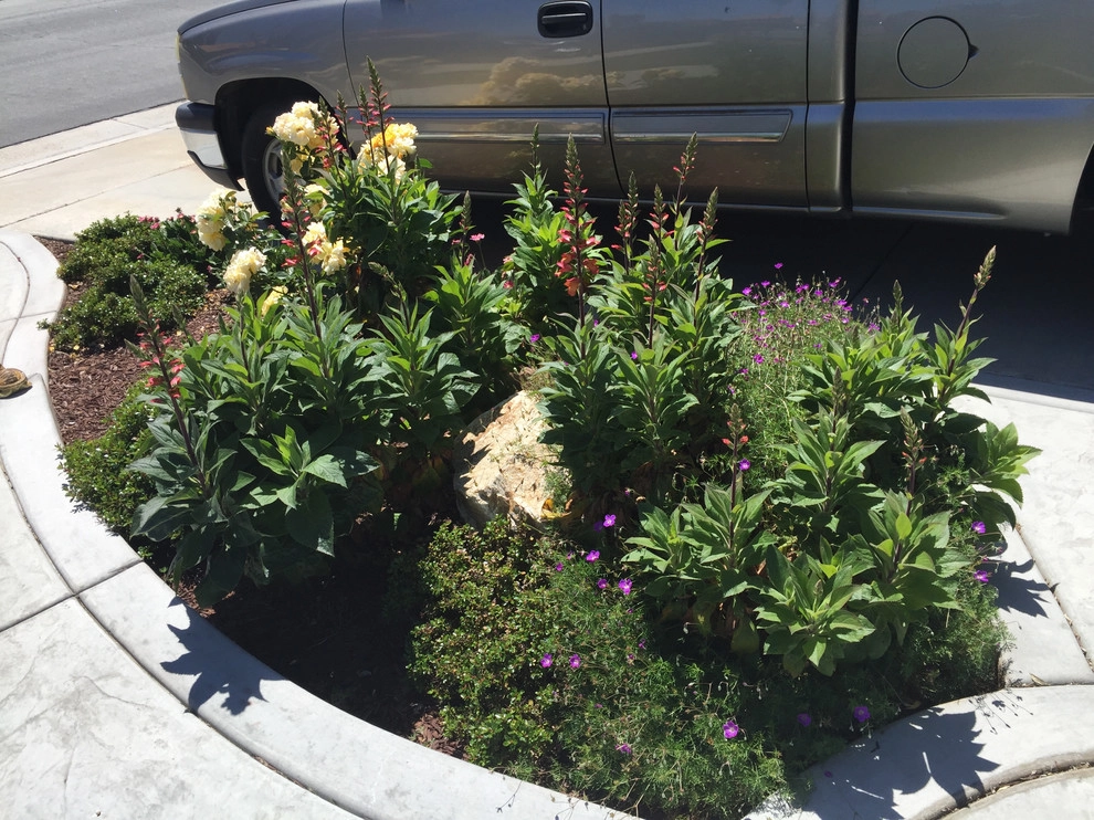 The Wilke Residence by McCabe's Nursery & Landscape Construction - Photo 19