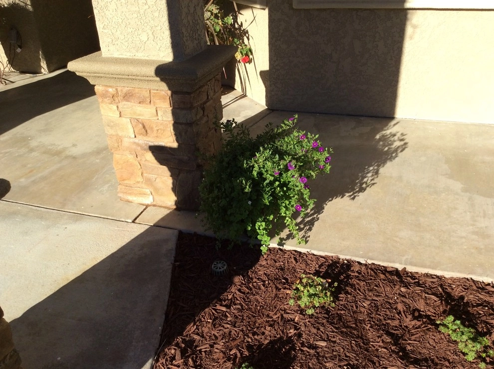 The Hartmann Residence by McCabe's Nursery & Landscape Construction - Photo 44