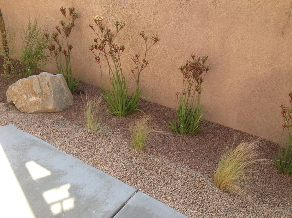 Modern Drought Tolerant Landscape by McCabe's Nursery & Landscape Construction - Photo 3