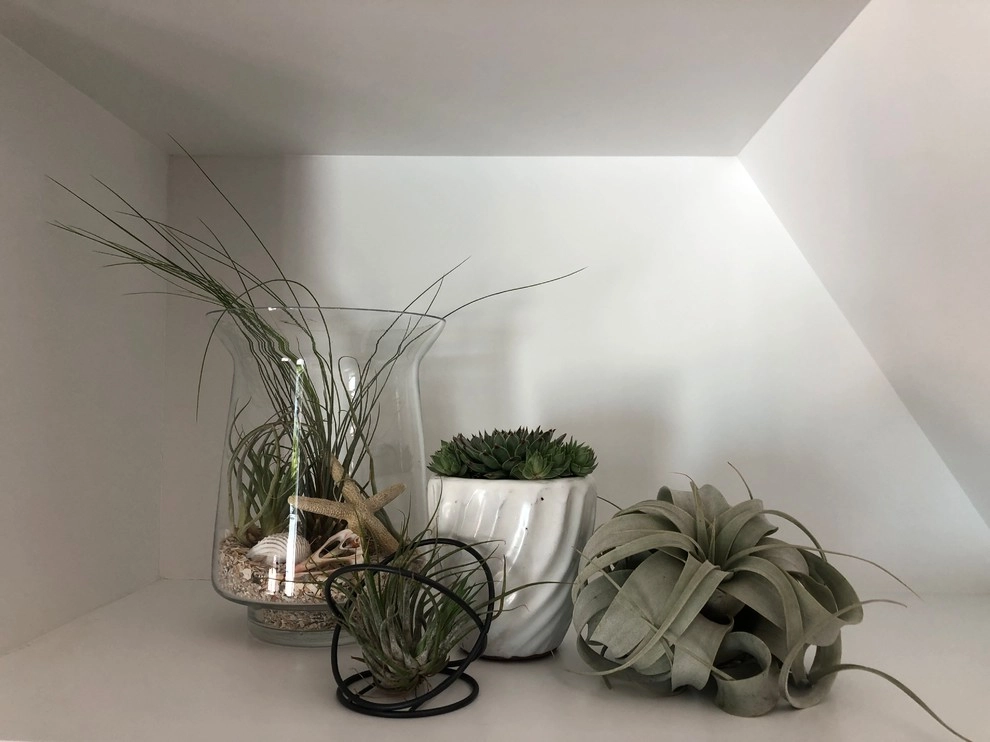Interior Plant Scape by Camille Beehler Landscape Design - Photo 5