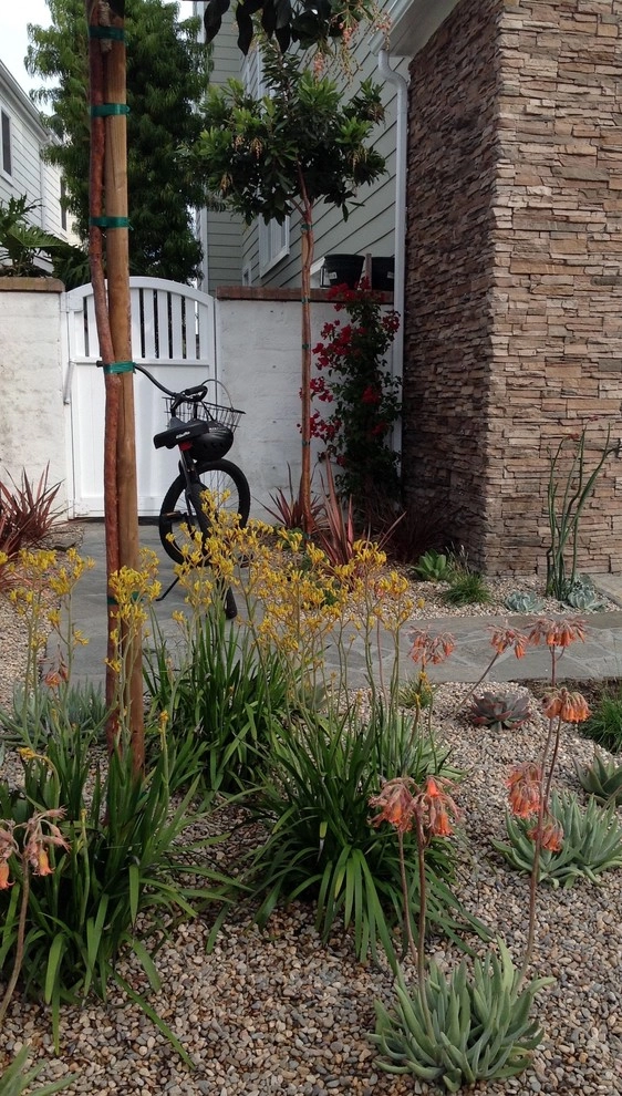 Cape Andover goes Drought Tolerant by Camille Beehler Landscape Design - Photo 5