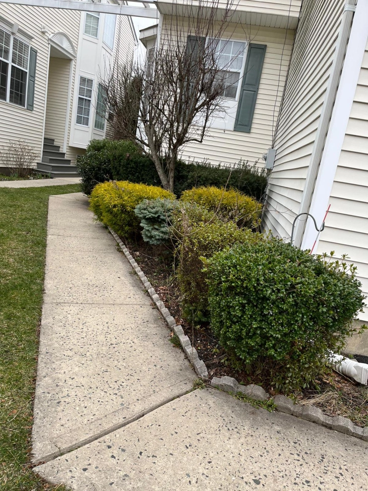 Mendoza Landscaping and Lawn Service by Mendoza Landscaping And Lawn Sercice LLC - Photo 6