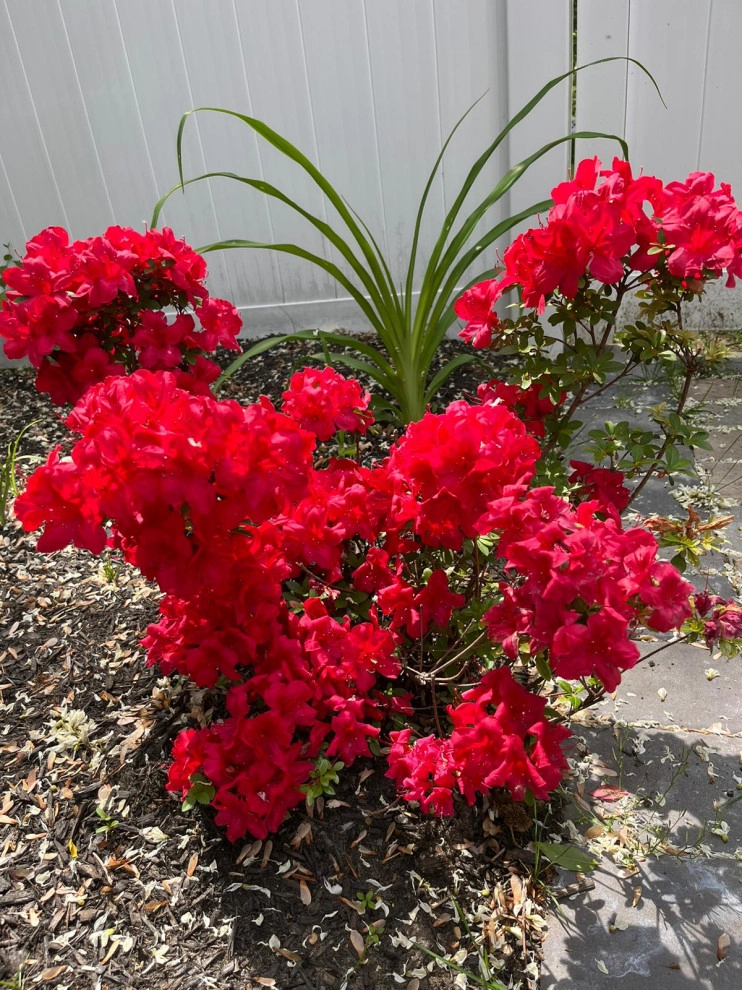 Mendoza Landscaping and Lawn Service LLC by Mendoza Landscaping And Lawn Sercice LLC - Photo 3