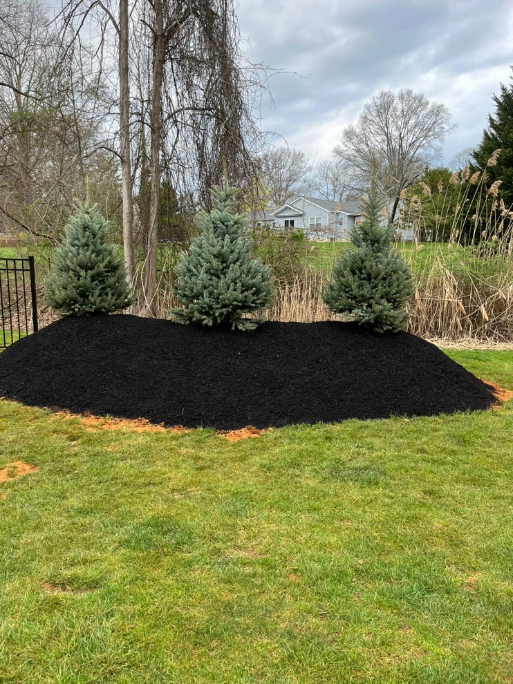 Mendoza Landscaping and Lawn Sercice LLC 8 by Mendoza Landscaping And Lawn Sercice LLC - Photo 3