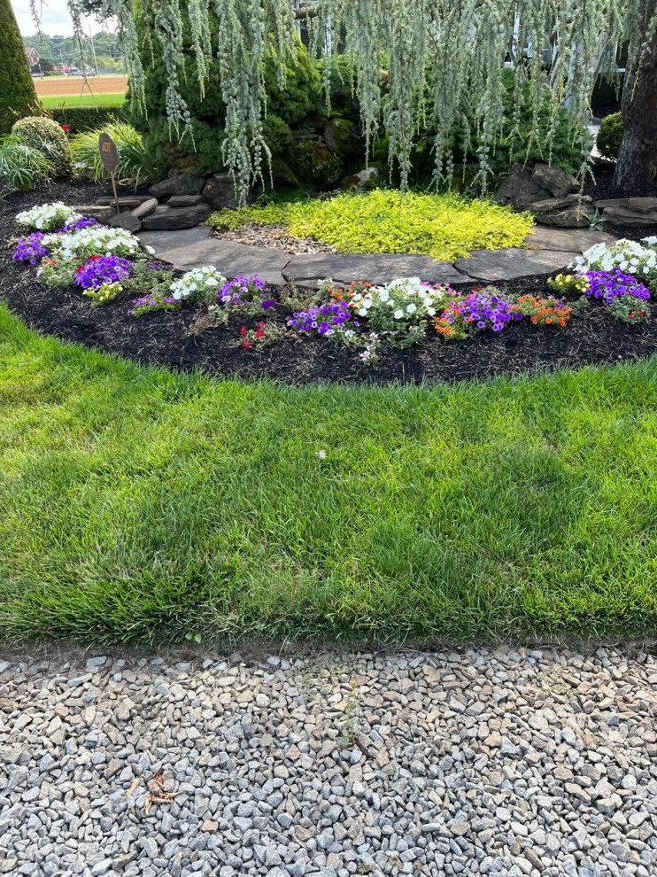 Mendoza Landscaping And Lawn Sercice LLC - Photo 3