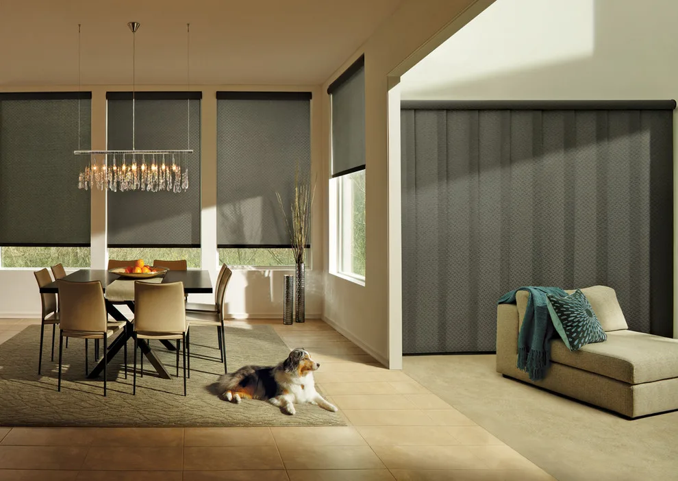 Designer Roller Shades and Skyline® Panels by Debbie Fornoff Interior Design And Draperies - Photo 3