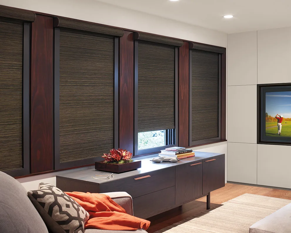 Designer Window Shades by Debbie Fornoff Interior Design And Draperies - Photo 4