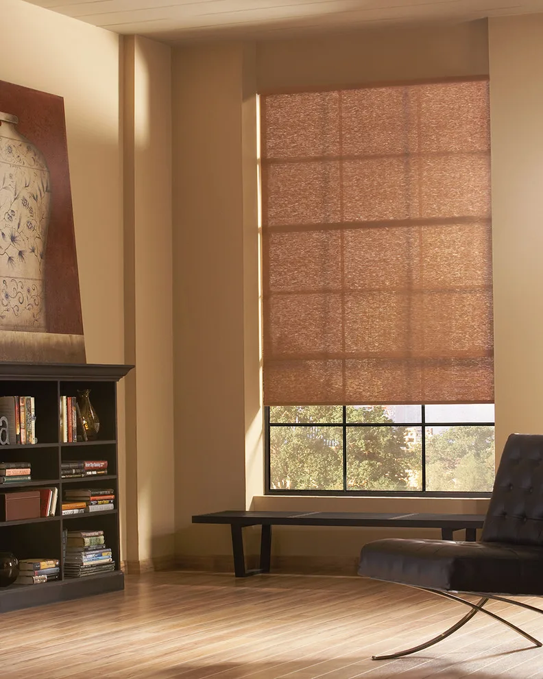 Designer Window Shades by Debbie Fornoff Interior Design And Draperies - Photo 9