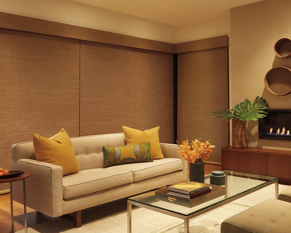 Designer Window Shades by Debbie Fornoff Interior Design And Draperies - Photo 11