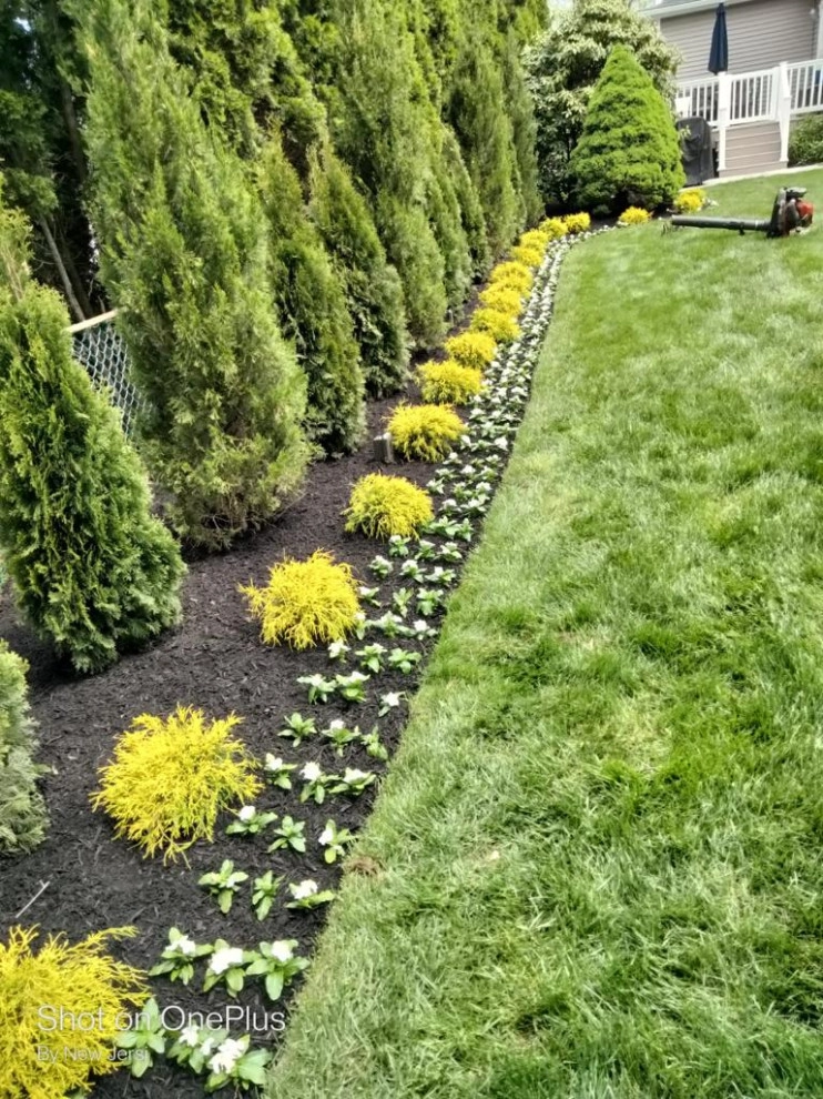 Mendoza Landscaping And Lawn Sercice LLC - Photo 6