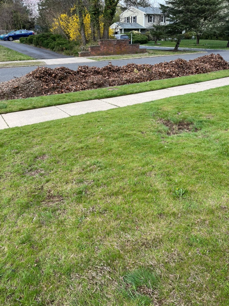 Mendoza Landscaping and Lawn Sercice LLC 8 by Mendoza Landscaping And Lawn Sercice LLC - Photo 5