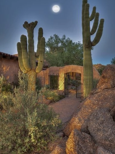 Estancia Club by Merit Landworks - Photo 12