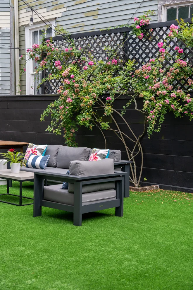Playful Washington by Maureen Stevens Design - Photo 9
