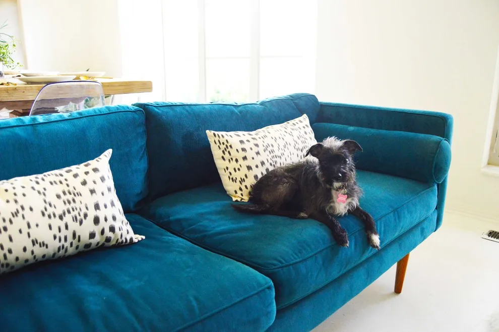 Radiant Dining Room Transformation by Scout Studios - Photo 12