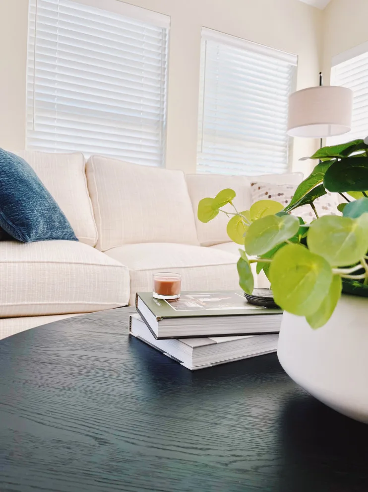 Elevated and Refined Main Level Furniture by DesignFive, LLC - Steve Shorthouse - Photo 9