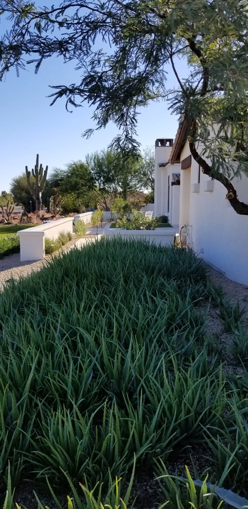 Paradise Valley V by Merit Landworks - Photo 7