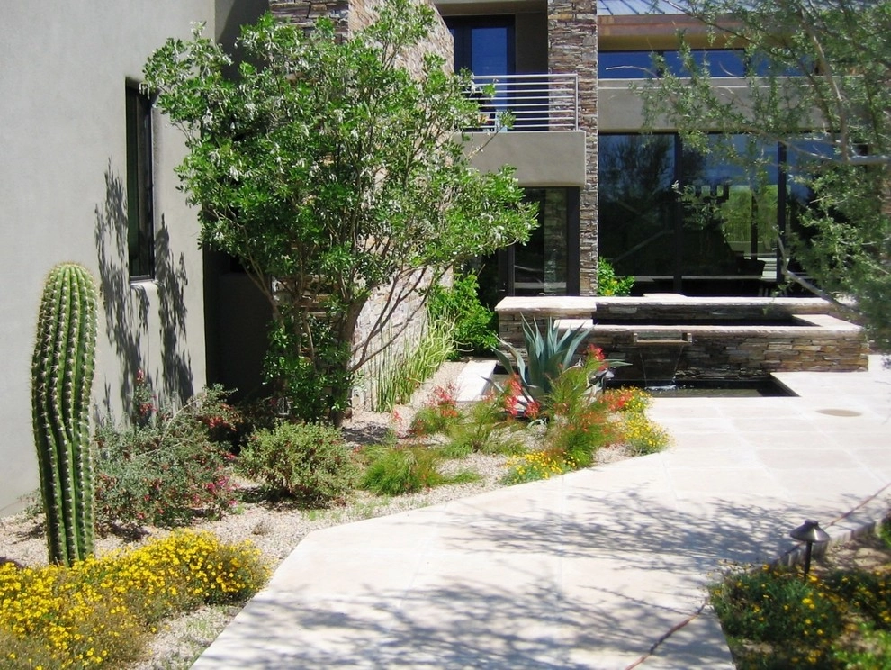 Desert Highlands II by Merit Landworks - Photo 9