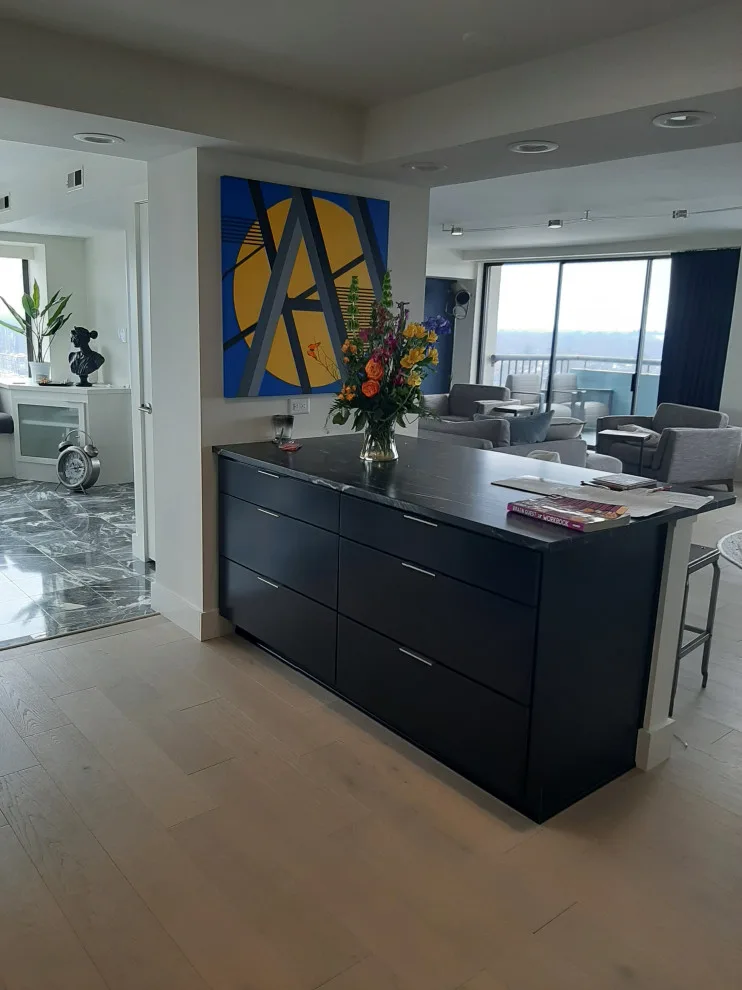 Indy Urban Condo Renovation by Amethyst Interiors LLC - Photo 16