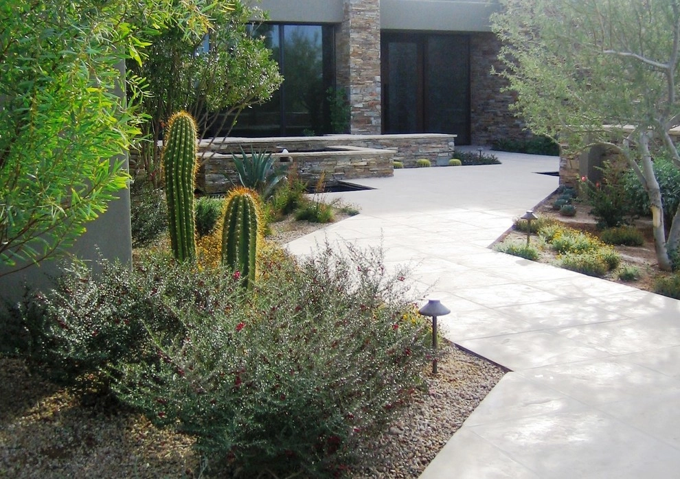 Desert Highlands II by Merit Landworks - Photo 4