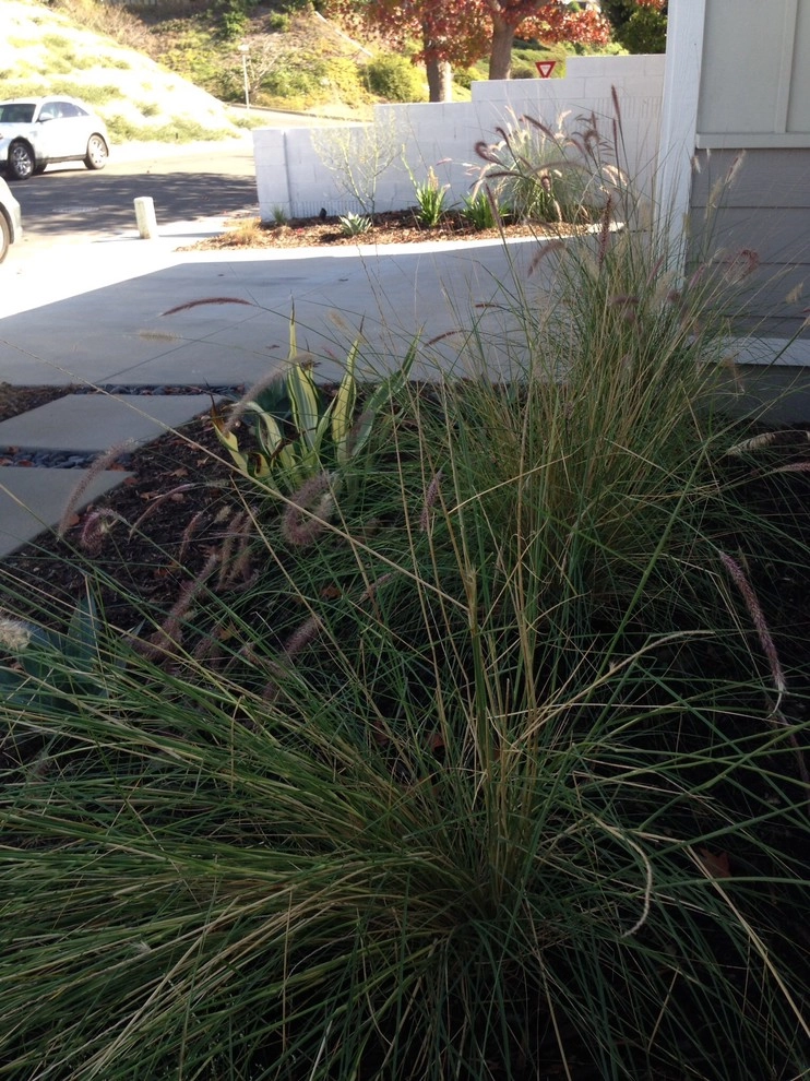 Via Abril, San Clemente by Camille Beehler Landscape Design - Photo 6