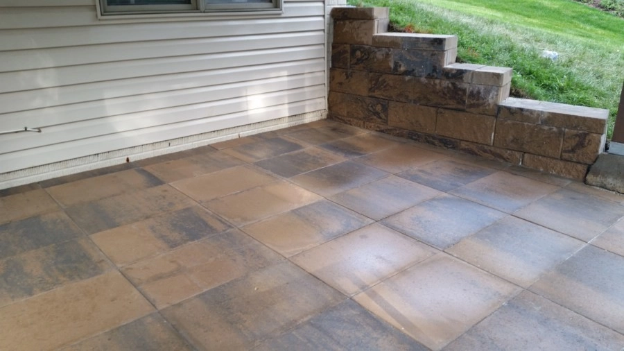 Meza Gardens And Design, LLC - Photo 14