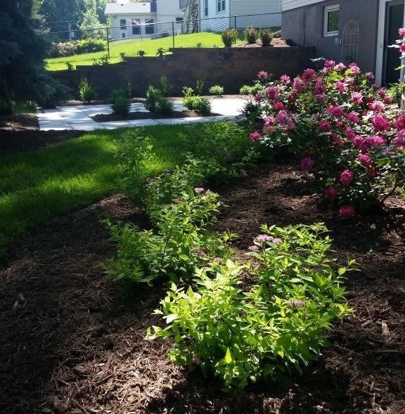 Meza Gardens And Design, LLC - Photo 5