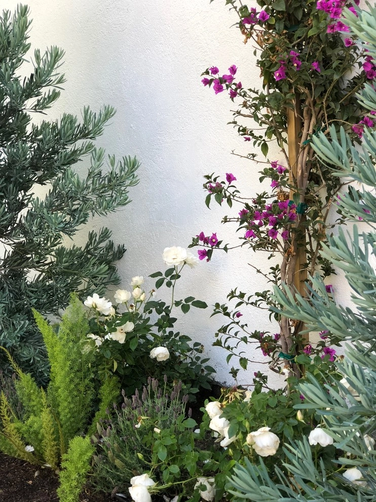 Beautiful Residence - Beverly Hills by Camille Beehler Landscape Design - Photo 26