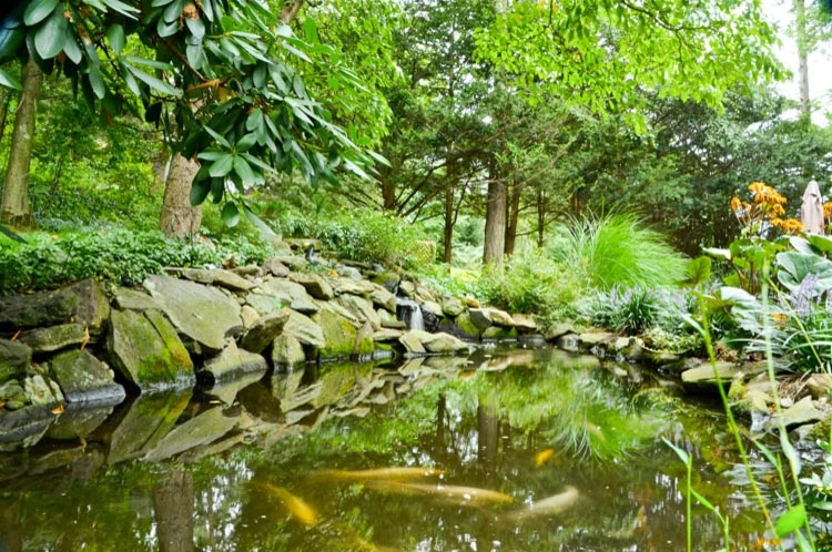 Waterfall | Koi Pond | Thornwood NY by MG's Lawn Green Inc - Photo 2
