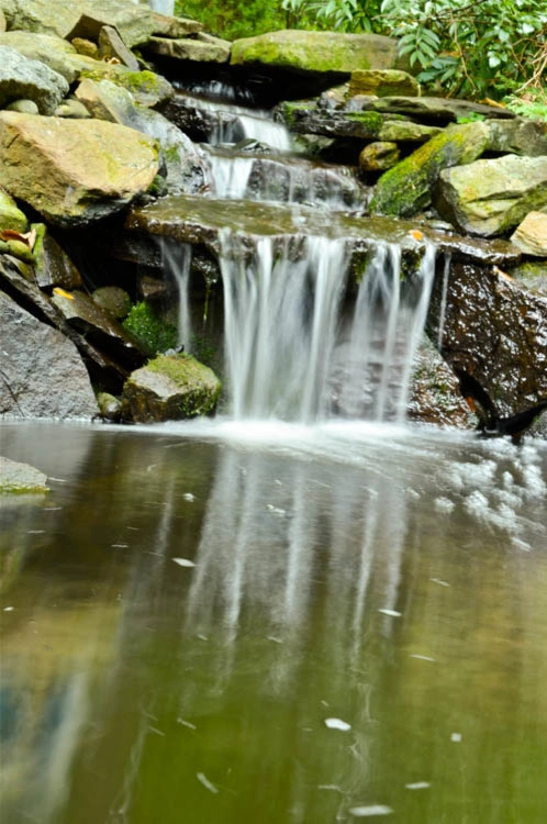 Waterfall | Koi Pond | Thornwood NY by MG's Lawn Green Inc - Photo 14