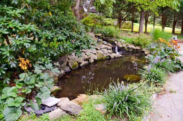 Waterfall | Koi Pond | Thornwood NY by MG's Lawn Green Inc - Photo 16