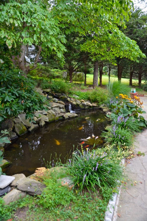 Waterfall | Koi Pond | Thornwood NY by MG's Lawn Green Inc - Photo 3