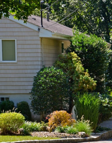 MG's Lawn Green Inc - Photo 13