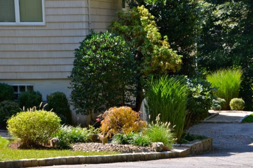 Side Landscaping | Pleasantville NY by MG's Lawn Green Inc - Photo 3